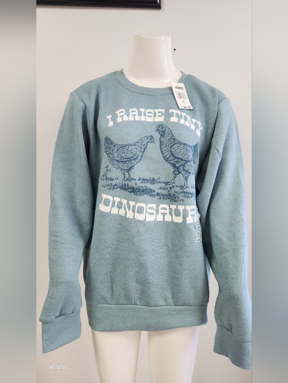 Lost Creek Outfitters "Tiny Dinosaur" Sweatshirt Blue Womens L  NWT Farmcore